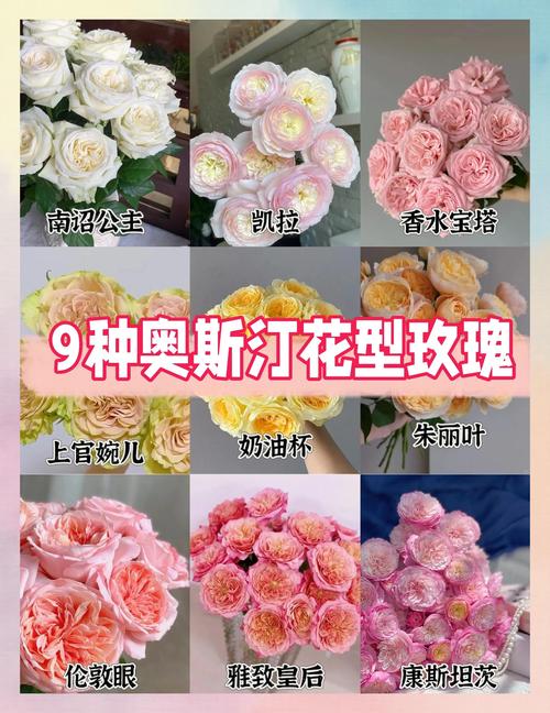 复古色奥斯汀玫瑰桌花搭配