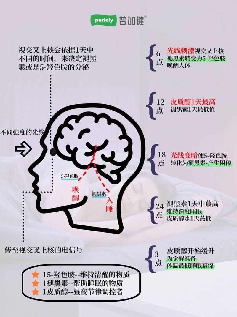 睡前蓝光影响褪黑素分泌对比图