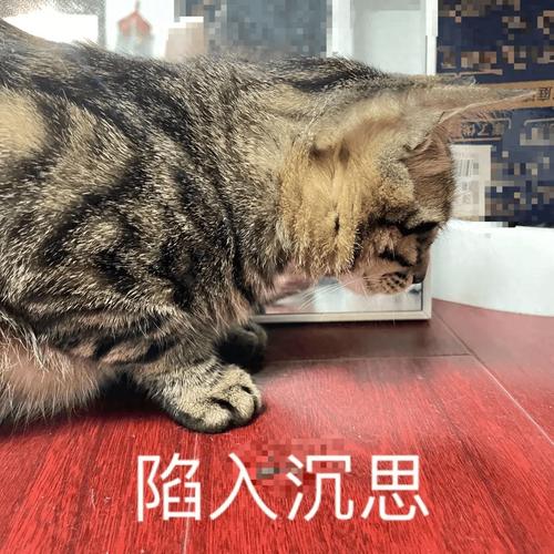 四、真实困惑，我在这儿答了