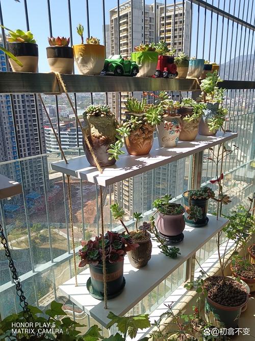 阳台侧挂式多肉花架摆放实景图