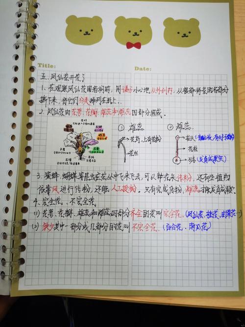 科普内容标注信息来源手写笔记图