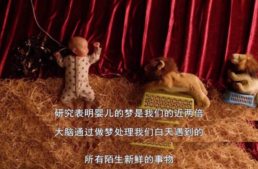 婴儿的秘密生活纪录片实验场景