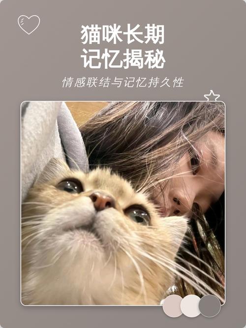 有意义的联结才是长久记忆的根