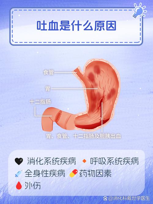 怎么选？听听过来人的吐血建议
