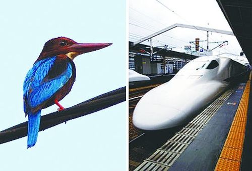 日本新干线翠鸟车头仿生设计对比图