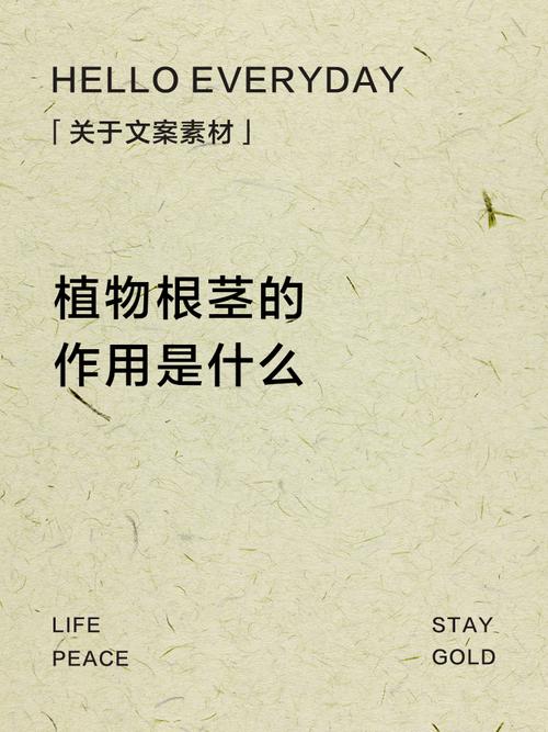 一、根茎类的“埋土”大法,不是开玩笑