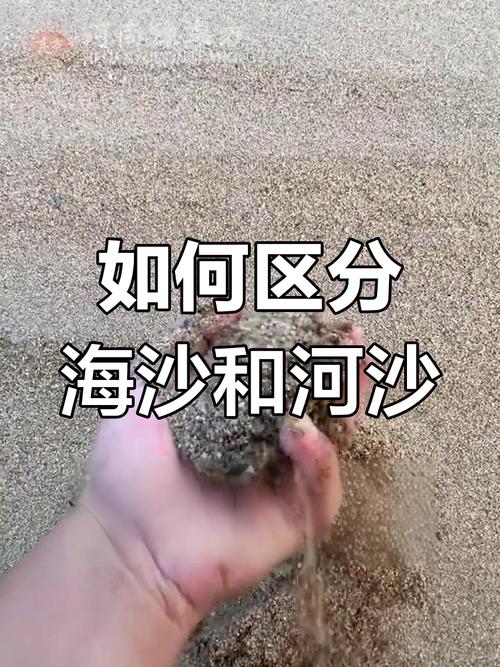 优质河沙与海沙对比实拍