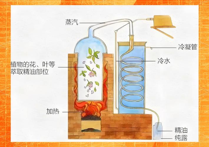 迷迭香精油蒸馏萃取实验室装置流程