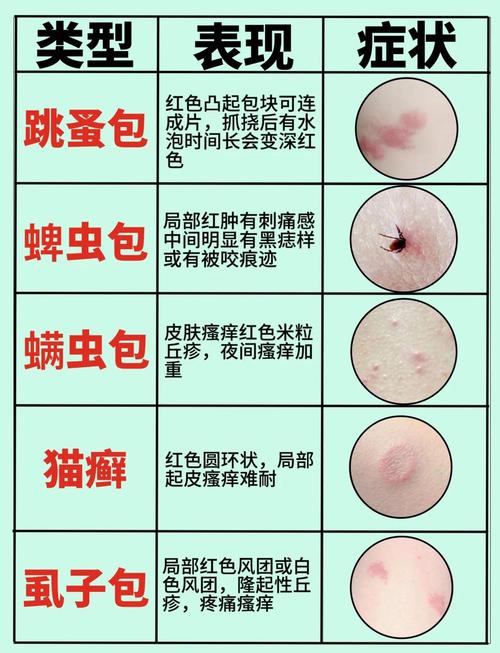 常见宠物人畜共患病传播途径科普表