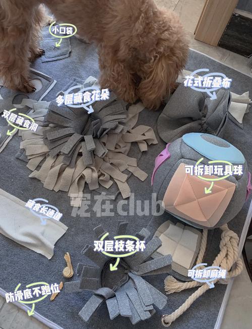 自制宠物嗅闻玩具丰容成品展示