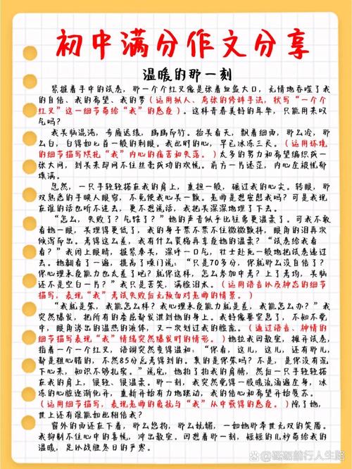 这些细节,没人会写在方案里