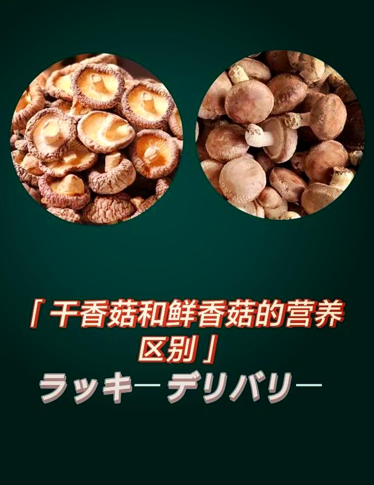 新鲜香菇和干香菇干货对比图