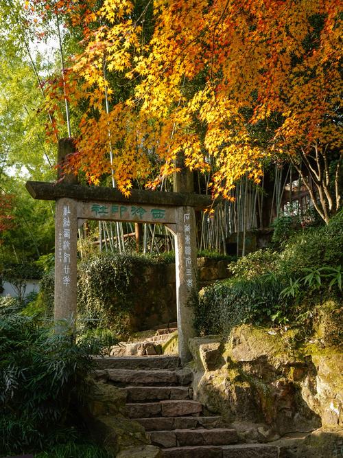 孤山西泠印社四照阁冬景