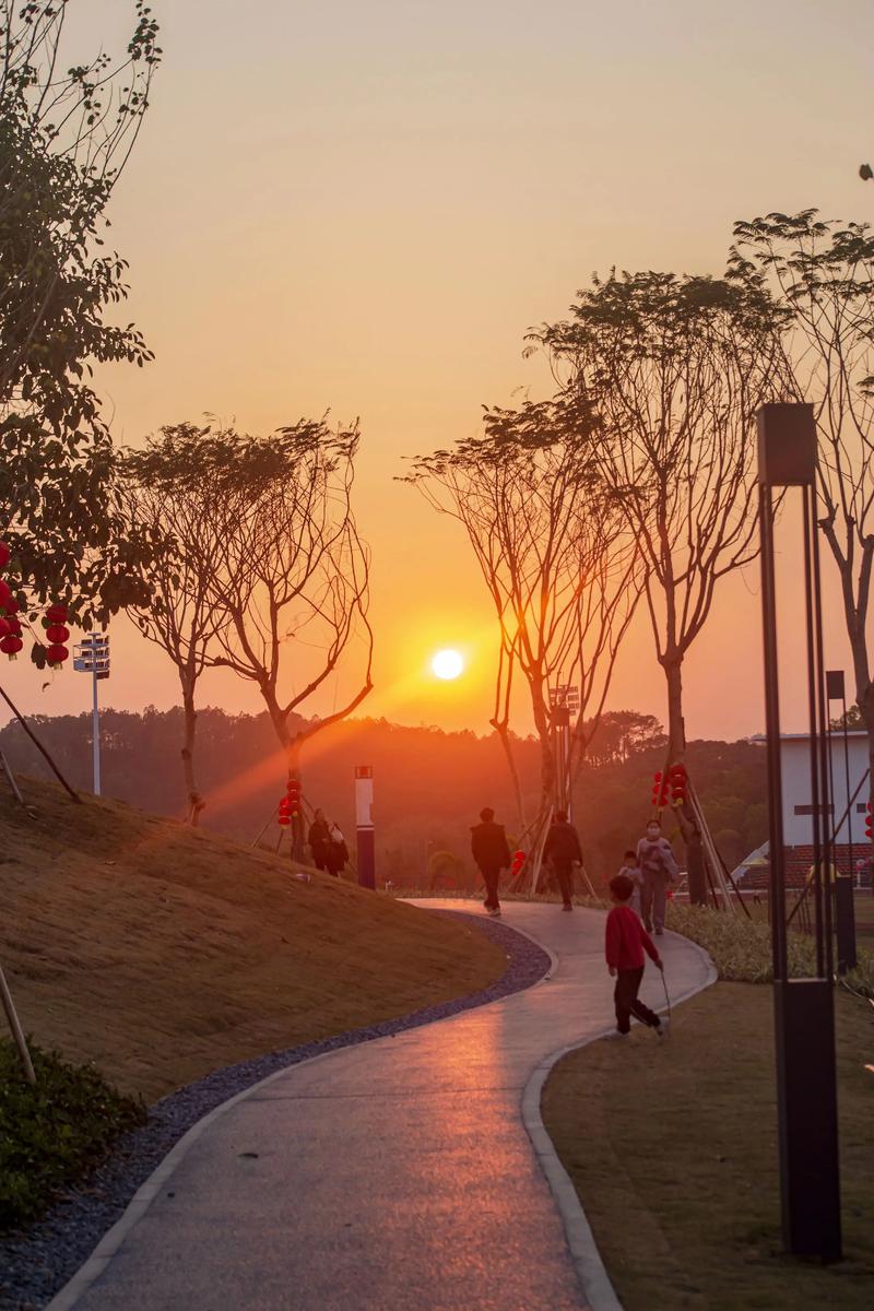 公园黄昏小道 一人独自慢走 夕阳透过树叶 模糊运动场景