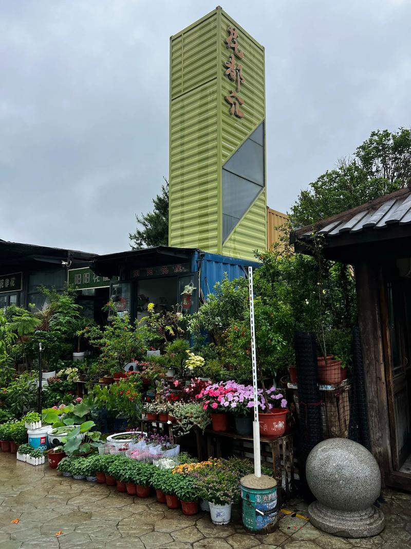扬州花鸟市场清晨