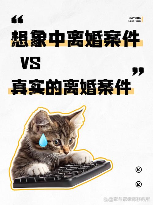离婚律师与委托人谈话