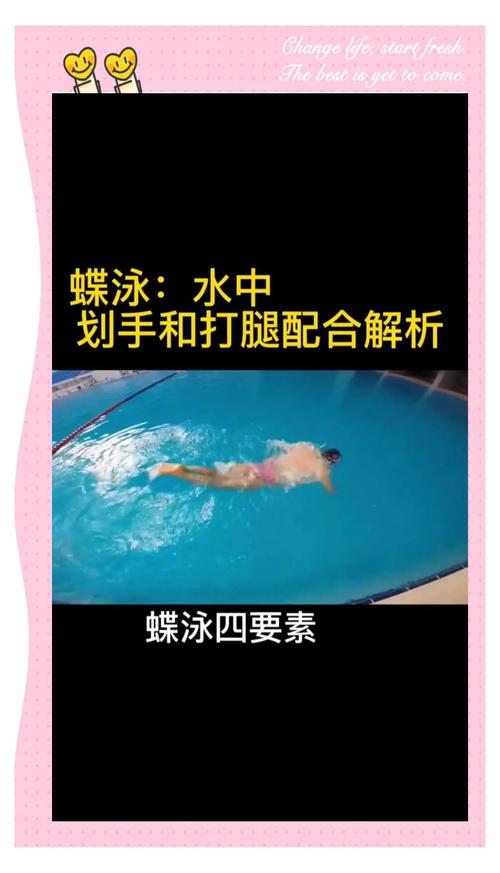 蝶泳到底靠腰还是腿？别吵了，我来告诉你