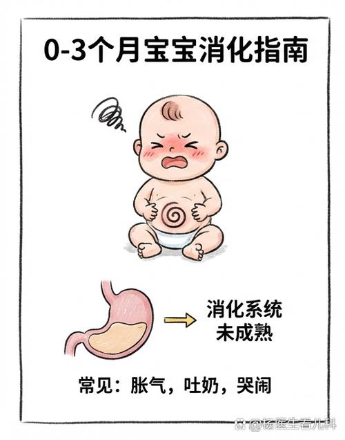 0-1岁宝宝肠道菌群发育参考图