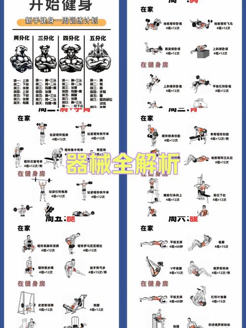 健身房新手力量训练路线图
