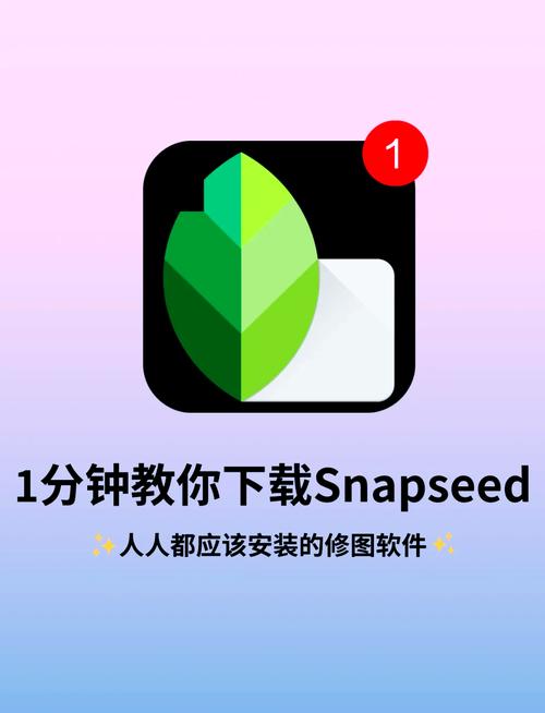 Snapseed手机修图软件操作界面