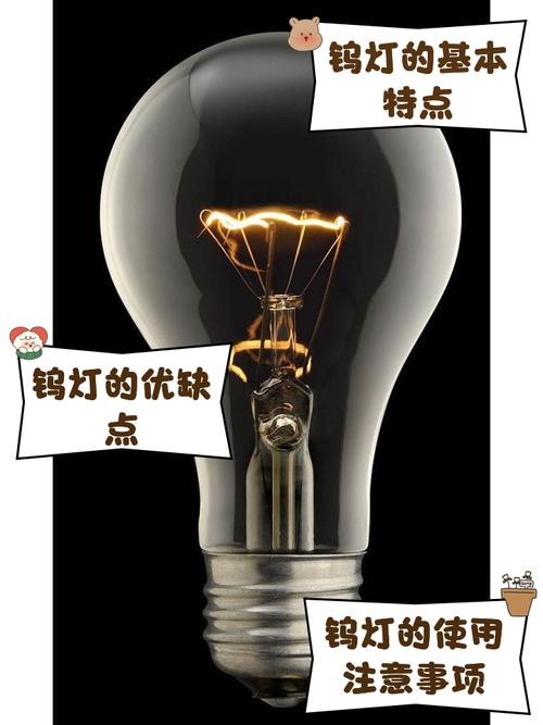 💡 特殊需求与小贴士