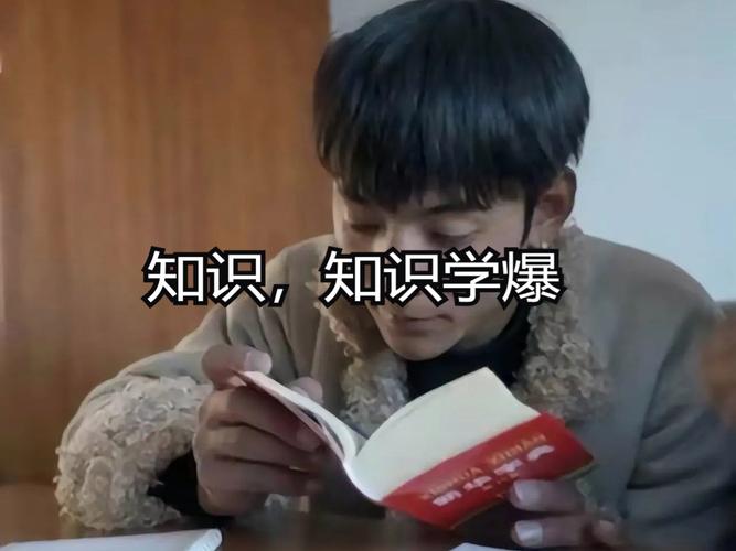 别逼着知识“必须有用”