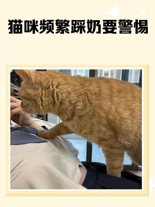 等等，踩奶和推东西是亲戚行为？