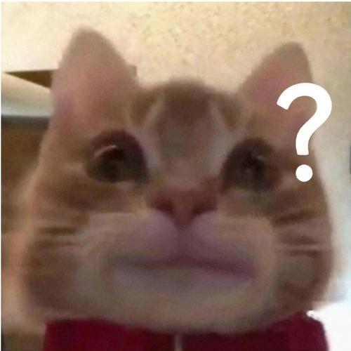 ❓ 我猫就是爱钻箱,有毛病吗?