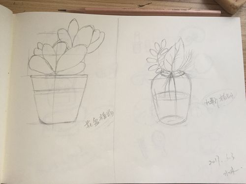 小学生作文本夹着的手绘二氧化碳喂绿萝草图