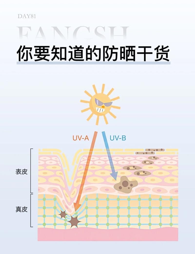 阳光紫外线衣物除菌原理示意图