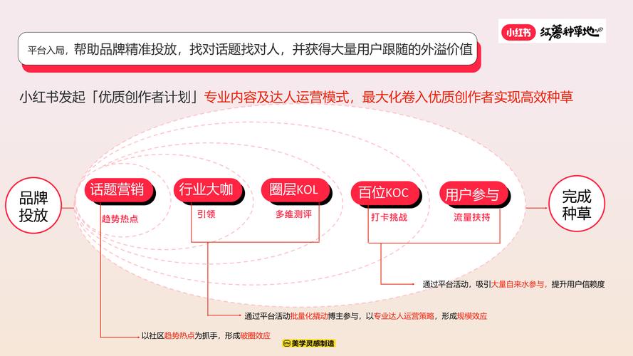 小红书品牌种草需求锚点分析图