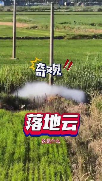 哪些真落地了？哪些是吹出来的