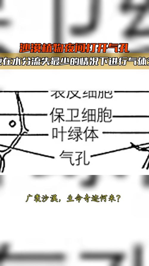 气孔?那是你还没搞懂保护气体