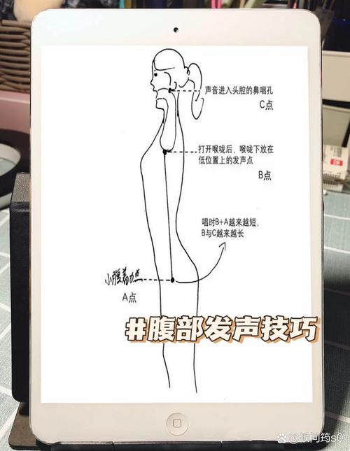 唱歌腰腹发力位置示意图