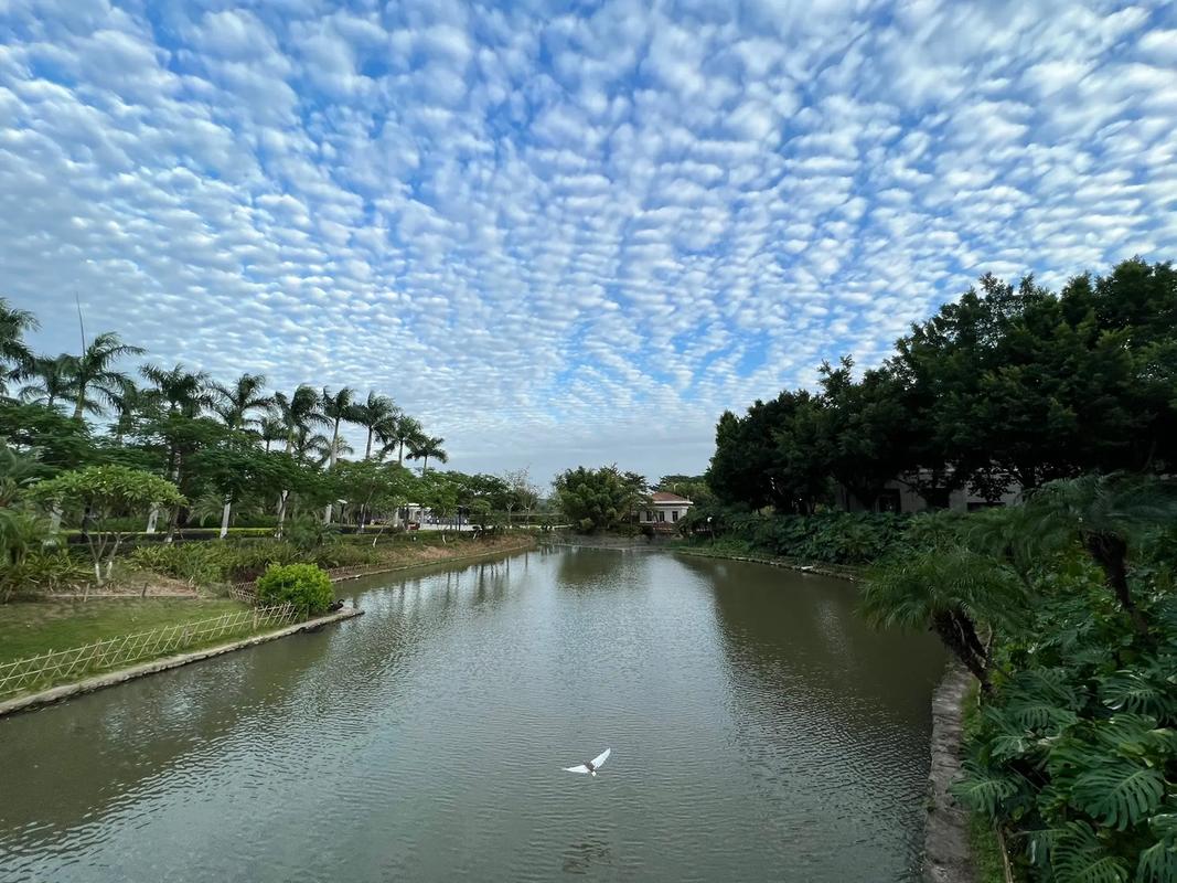 厦门八市清晨咸湿地面散落鱼鳞