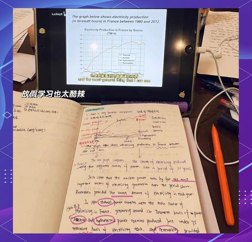 中国学生在家用iPad练习SAT阅读题
