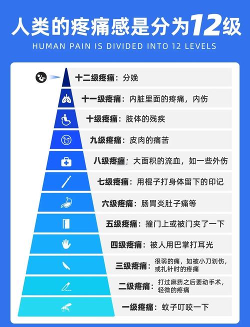从“人治”到“数治”的阵痛