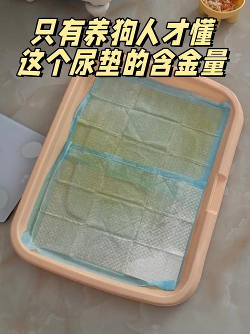 白牌宠物尿垫新旧主图对比图