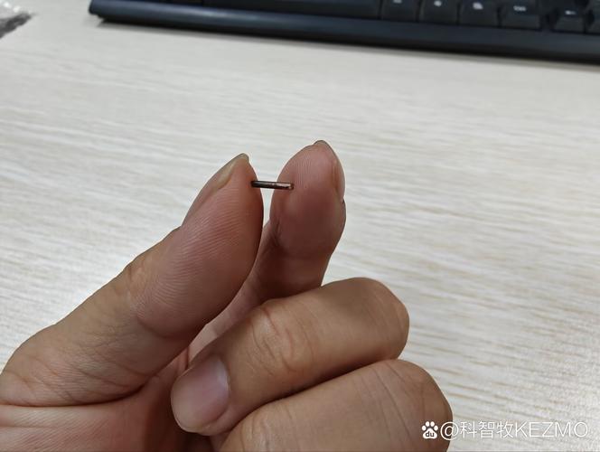 宠物体内植入式微芯片实物图