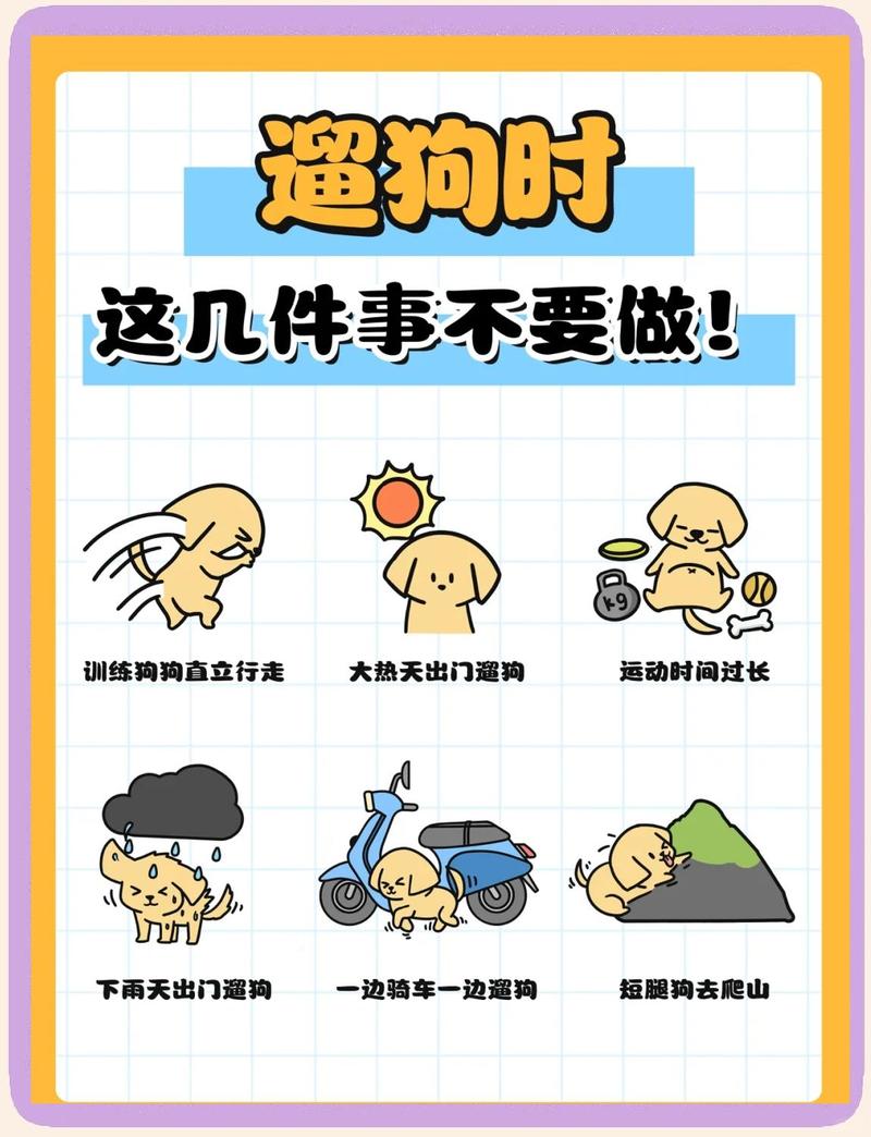 带狗出门社交的边界清单，记不住就存手机里