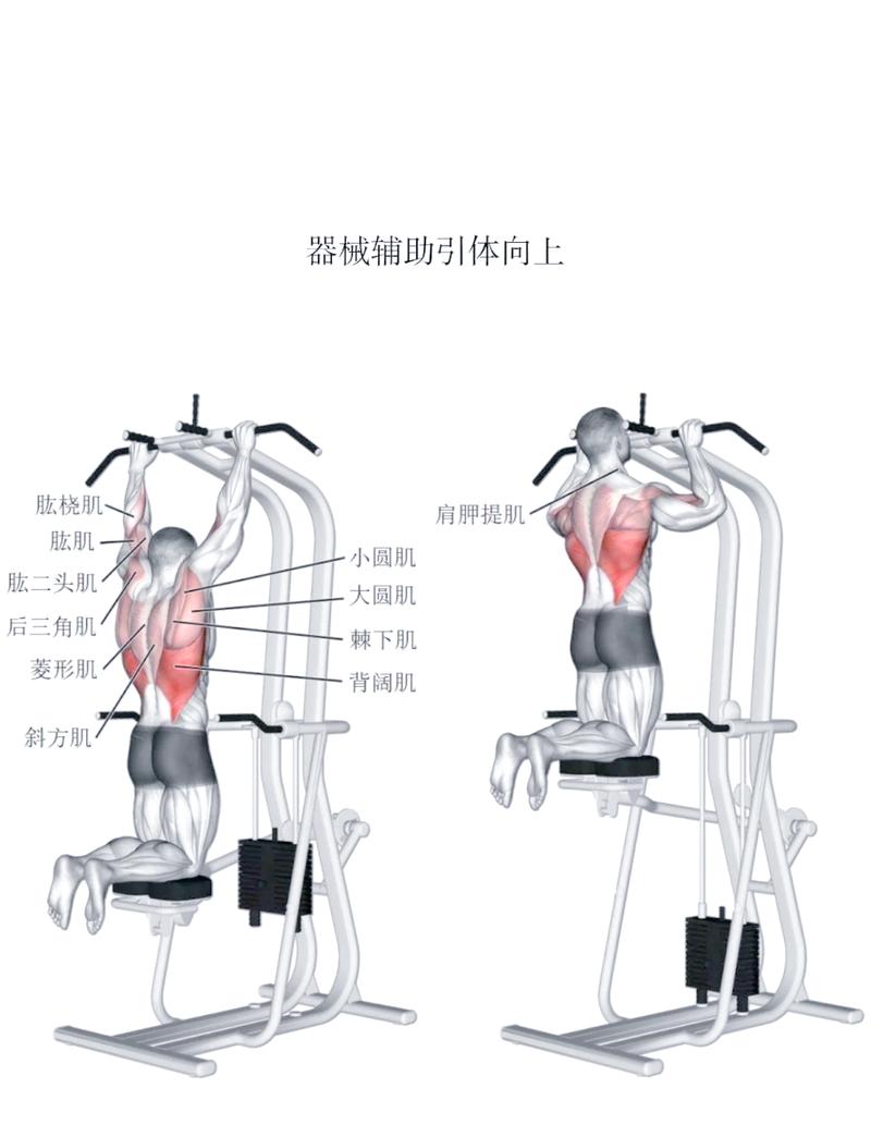 普通人肌肉力量自我测试动作示意图