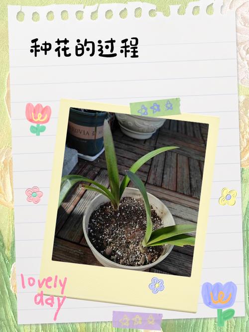 数据种地，真能种出花来？