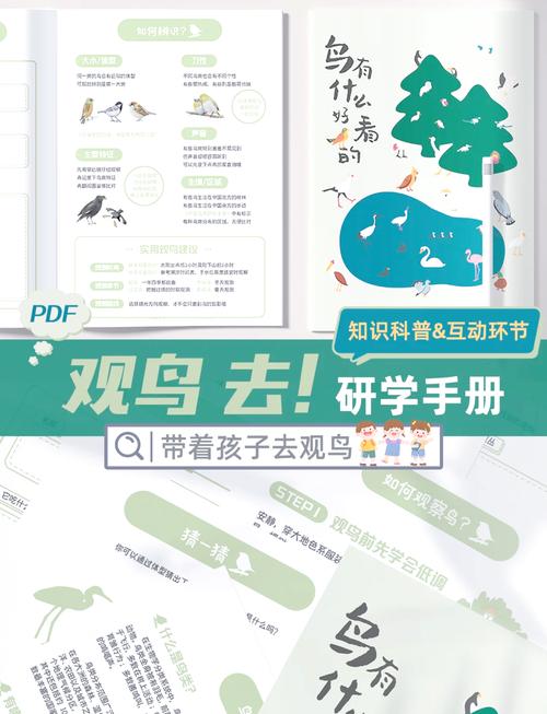 新课改下，怎么带孩子自己探索鸟类特征