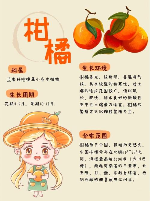 来巡检桔园里耍,这些贴士得记牢