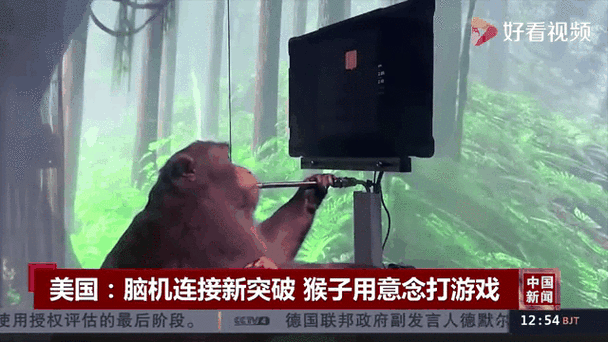 技术伦理讨论：当猴子能用意念打游戏，我们的道德指南针开始狂转