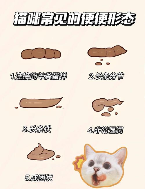 宠物换粮软便原因分析图