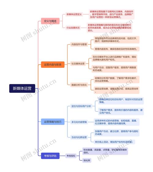 新媒体运营核心能力模型图