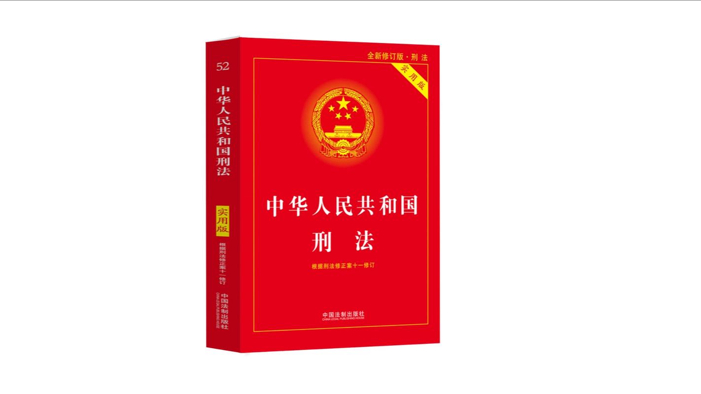 我国现行刑法典文本封面