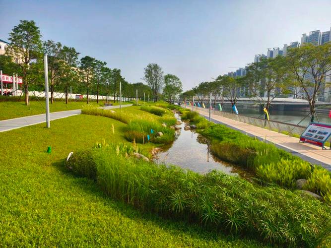 宁波海绵城市步行街渗滤植草沟实景图