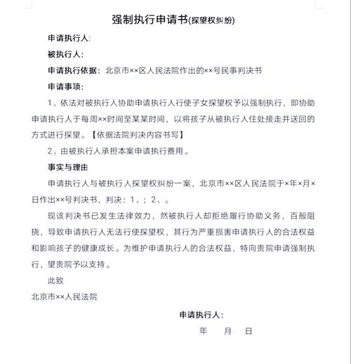 中国法院探望权强制执行申请驳回裁定书